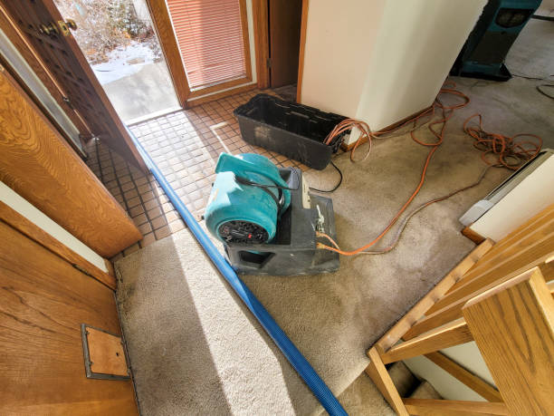 Best Flooded house restoration  in Wyndmoor, PA