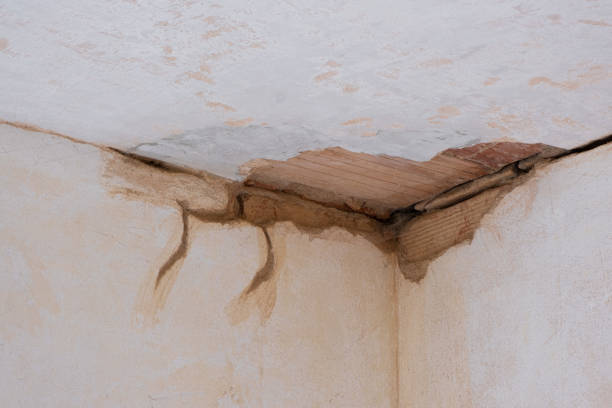 Best Basement water damage restoration  in Wyndmoor, PA