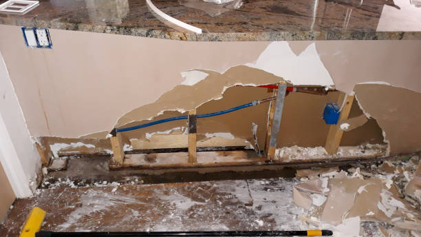 Best Local water damage restoration  in Wyndmoor, PA
