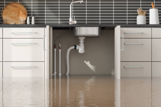 Best Water damage restoration near me  in Wyndmoor, PA